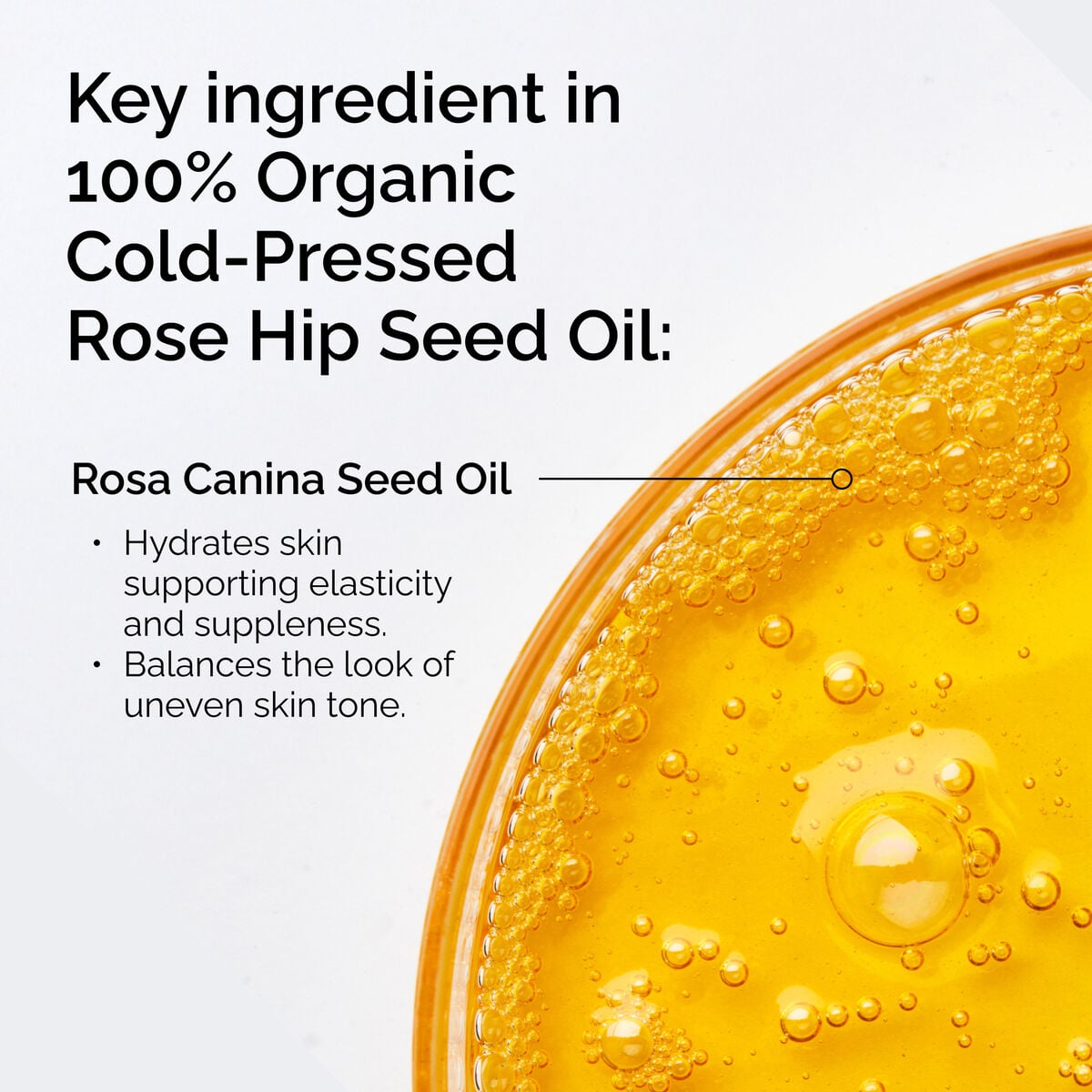 100-organic-cold-pressed-rose-hip-seed-oil-x0 FY25-D41247-ORD-Web-PDP-100-Rose-Hip-Oil-1x1-EN-2.jpg