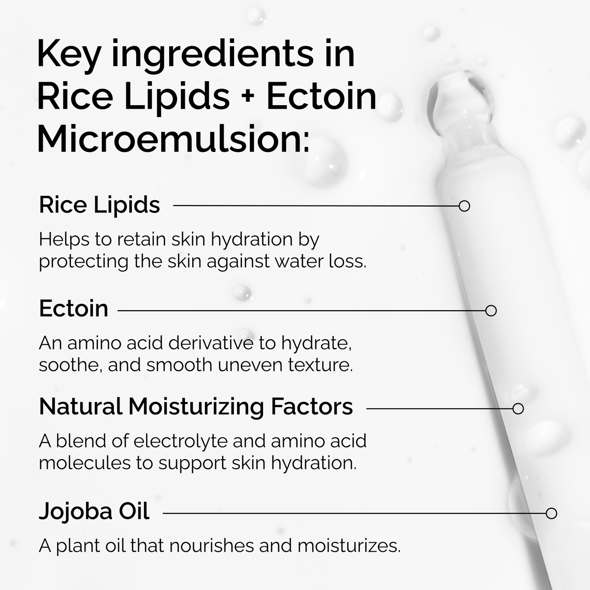 rice-lipids-ectoin-microemulsion-j1 ord-rice-lipids-ectoin-microemulsion-key-ingredients.png