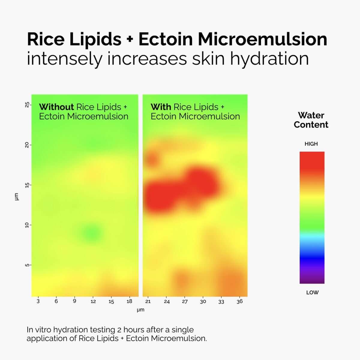 rice-lipids-ectoin-microemulsion-j1 ord-rice-lipids-ectoin-microemulsion-thermal-before-after.jpg